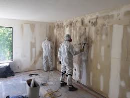 Why You Should Choose Our Mold Remediation Services in Sausalito, CA